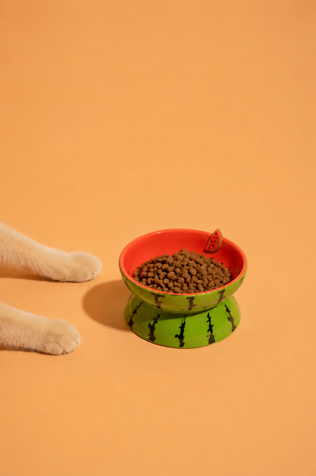 Summer Fruits Cat Bowls